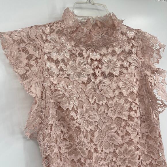 Enfocus Studio Lace Midi Dress Sz 4 Blush Cottage Castlecore High Neck Coquette - Picture 2 of 11